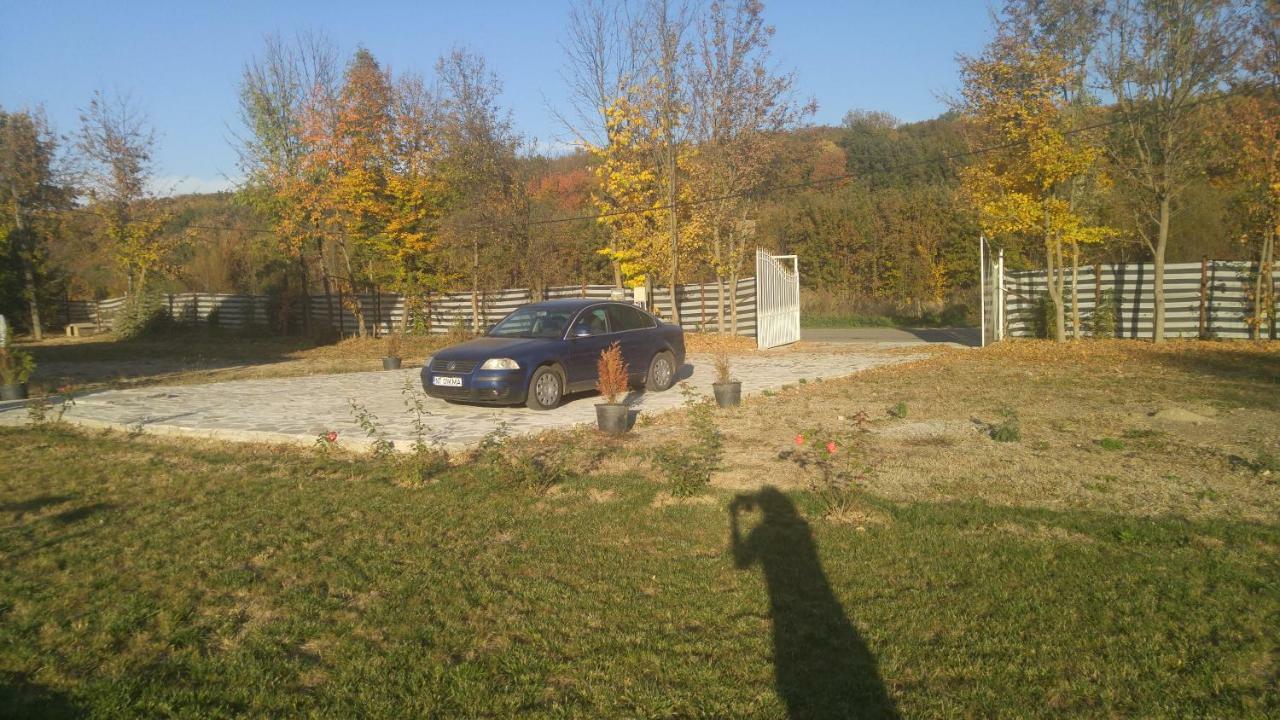 Pensiunea Casa Vanatorului Otel Oteleni Dış mekan fotoğraf