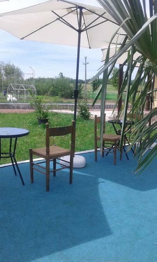 Pensiunea Casa Vanatorului Otel Oteleni Dış mekan fotoğraf
