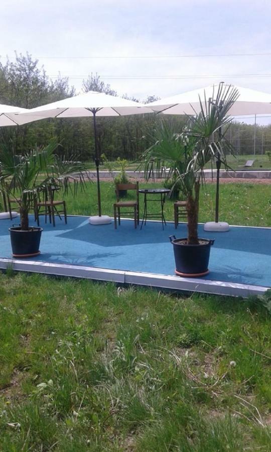 Pensiunea Casa Vanatorului Otel Oteleni Dış mekan fotoğraf
